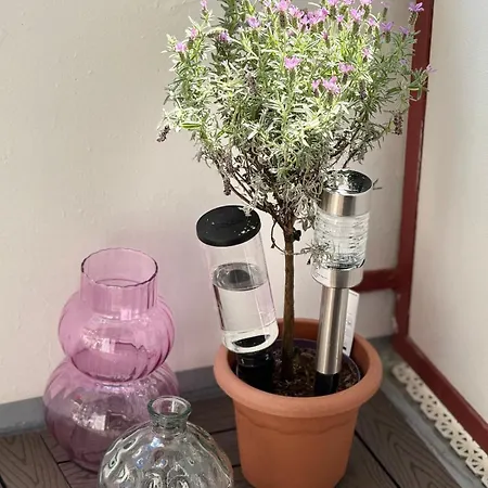 Uferglanz - Balcony, View, Sparkling Wine, Snacks Appartement *